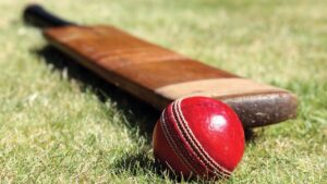 Cricket News, Cricket Khabar, Bihar Team, Gujrat Team, 113 Runs, 10 Overs