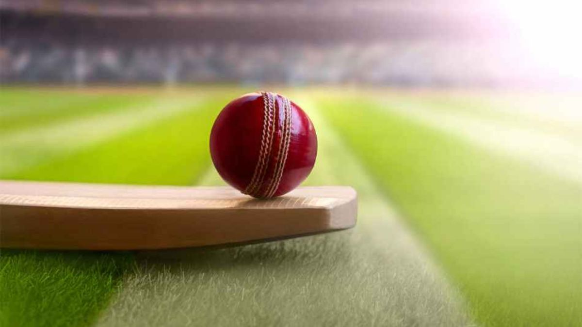 Cricket News, Cricket Khabar, Night Cricket Match, Winning Amount 1.5 Lakh