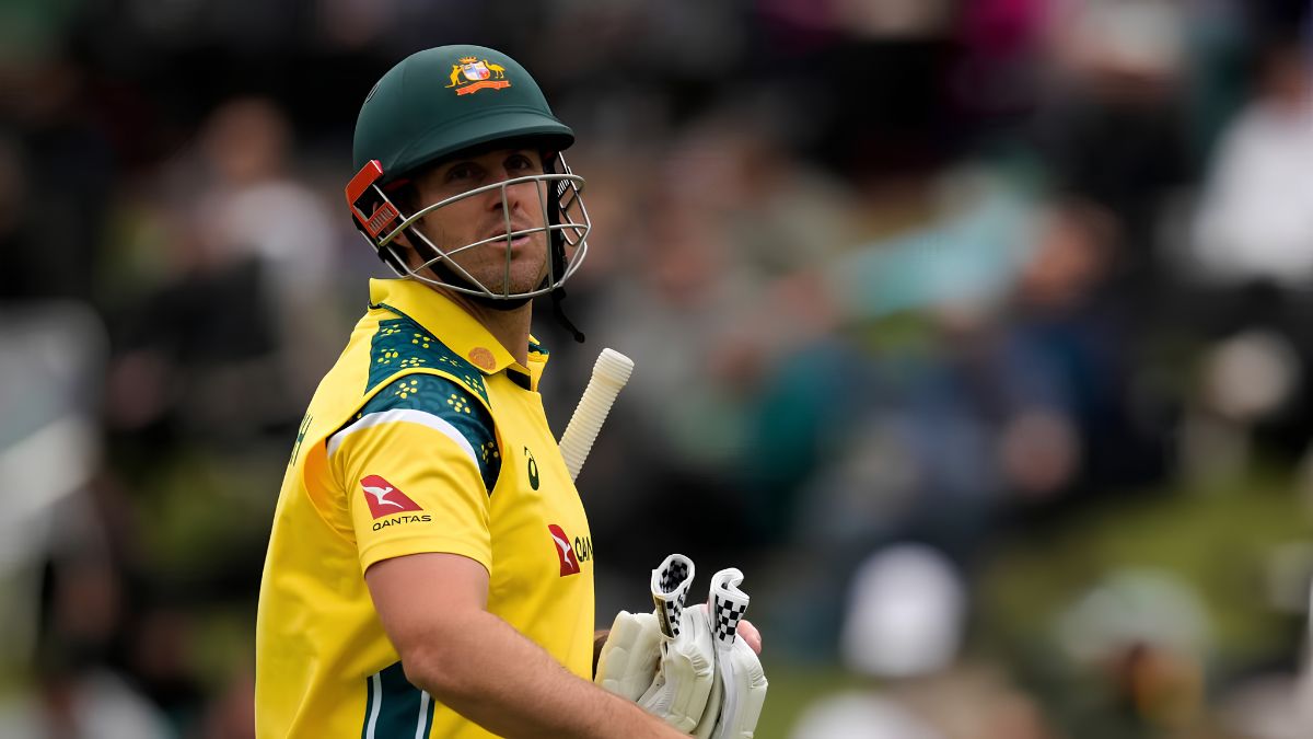 Matthew Hayden